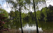 Blick auf den Karpfenteich im Frühling, Foto: Ute Bernhardt, Lizenz: Ute Bernhhardt