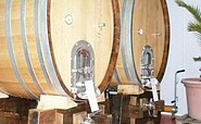 Kelterei, Foto: Weinbau Dr. Lindicke, Lizenz: Weinbau Dr. Lindicke