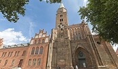 Dom St. Peter und Paul Brandenburg an der Havel, Foto: Steffen Lehmann