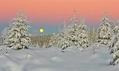 Schnee Wald, Foto: Kay Ziesenhenne, Lizenz: Kay Ziesenhenne