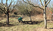 Ob die Streuobstwiese im Elbgarten Wittenberge an der passenden Stelle angelegt wurde, erfahren wir beim Vortrag von Urte Delft. , Foto: Tina Gierth, Lizenz: Elbgarten Wittenberge