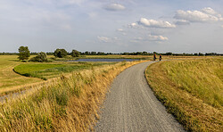Hüben und Drüben - Geführte Radtour beidseits der Elbe mit Einblicken in Natur, Kultur und Geschichte