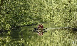 Wasser und Wein - Geführte Kanutour auf der Löcknitz mit anschließender Weinverkostung