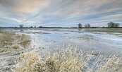 Garbe Polder, Foto: Dieter Damschen, Lizenz: Burg Lenzen