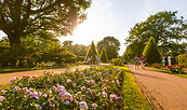 Rosengarten Forst, Foto: Patrick Lucia