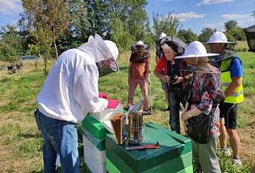 Bienen-Tour: Besuch bei einem Teltower Imker