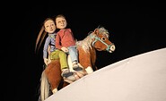 Pony im Koffer 1, Foto: Lutz Edelhoff, Lizenz: Dorothee Carls