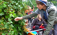Familienkanutour - Brombeeren, Foto: Daniel Uhlig, Lizenz: outdoorVAGABUNDEN UG