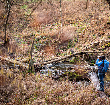 Vogelkundliche Wanderung durch die Märkische Schweiz