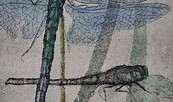 Odonata, Foto: Burg Beeskow, Lizenz: Burg Beeskow