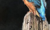 Pastellkunst, Foto: Elke Steiner, Lizenz: Elke Steiner