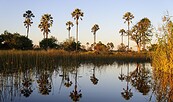 Namibia und Botswana - Abenteuer Afrika, Foto: Kai Uwe Küchler, Lizenz: Kai Uwe Küchler