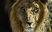 Namibia und Botswana - Abenteuer Afrika, Foto: Kai Uwe Küchler, Lizenz: Kai Uwe Küchler