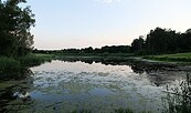 Fischteich Booßen, Foto: Leonhard Lenz, Lizenz: Leonhard Lenz