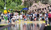 Wasserfest, Foto: FWA, Lizenz: FWA