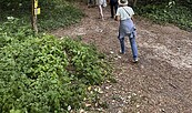 Vogelwanderung, Foto: Gilde der Stadtführer e.V., Lizenz: Gilde der Stadtführer e.V.