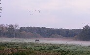 Landschaft, Foto: Simone Müller, Lizenz: Simone Müller