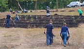 Pflanzaktion, Foto: Robert Strauch, Lizenz: Naturpark Niederlausitzer Landrücken