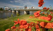 Frankfurt (Oder), Foto: Artur Kozłowski, Lizenz: Stadtmarketing Frankfurt (Oder)