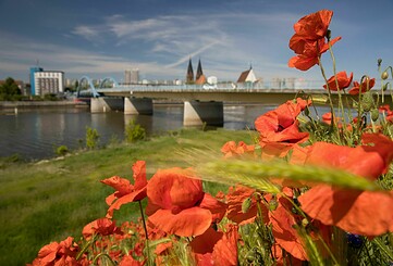 Öffentliche Stadtführung (DE)
