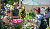 Gartenfestival Park & Schloss Branitz, Foto: Florian Bröcker, Lizenz: Florian Bröcker
