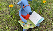 Lupe liest im Frühling, Foto: Henrike Okrent