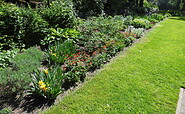 Staudengarten, Foto: Ute Bernhardt, Lizenz: Ute Bernhardt