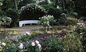 Rosengarten auf der Pfaueninsel, Foto: Hans Bach, Lizenz: SPSG