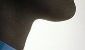 H.Klappert Ausstellung, Foto: Hartwig Klappert, Lizenz: Hartwig Klappert