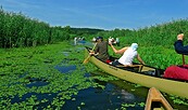 Kanutour Nationalpark Unteres Odertal, Foto: Brunhild Matthias, Lizenz: Kranichhof Mescherin
