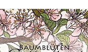 Baumblüten Gottesdienst, Foto: Adventgemeinde Werder, Lizenz: Adventgemeinde Werder