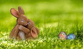 Foto: anncapictures, Lizenz: pixabay