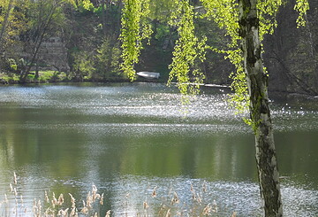 Es "Frühling"t auf dem Kräuter- und Naturhof > ankommen, geniessen, erleben