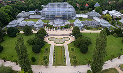 Geschichte und Gegenwart des Botanischen Gartens und Museums, Prof. Dr. Thomas Borsch