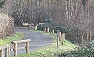 Wanderweg im Naturschutzgebiet, Foto: Petra Förster, Lizenz: Tourismusverband Dahme-Seenland e.V.