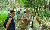 Wanderung, Foto: Bernd Müller, Lizenz: NaturFreunde Oberbarnim e.V.
