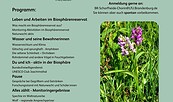 AllesZählt_Flyer_Grün, Foto: Biosphärenreservat Schorfheide-Chorin , Lizenz: Biosphärenreservat Schorfheide-Chorin