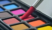 Foto: Bild von Leopictures auf Pixabay, Lizenz: Bild von Leopictures auf Pixabay