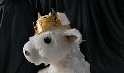 Oper Oder Spree  - "Das kleine weiße Pony" - Musiktheater für Kinder