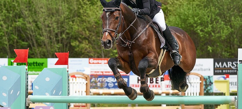 Reitturnier Lentzke