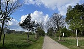 "Alle der Jahresbäume" am Langerönner Weg, Foto: Sieglinde Thürling, Lizenz: Tourismusverein Naturpark Barnim