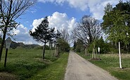 &quot;Alle der Jahresbäume&quot; am Langerönner Weg, Foto: Sieglinde Thürling, Lizenz: Tourismusverein Naturpark Barnim