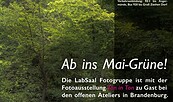 Ab ins Grüne, Foto: Stein // Holz Joachim Brückner