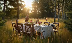 Jubiläumsfest 25 Jahre Wildnisstiftung