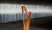 Harfe, Foto: David Reisler, Lizenz: Joel von Lerber + David Reisler