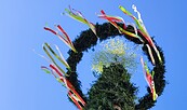 Maibaum auf dem Spremberger Markt (2024), Foto: Constanze Schirmer, Lizenz: Stadt Spremberg/Grodk