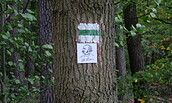 Fontanewweg, Foto: Sabine Voerster
