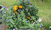 Pflanzkübel, Foto: SPSG, Lizenz: SPSG
