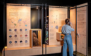 Ausstellungsmodul, Foto: Adrian Lorberth, Lizenz: Adrian Lorberth