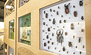 Ausstellung, Foto: Adrian Lorberth, Lizenz: Adrian Lorberth